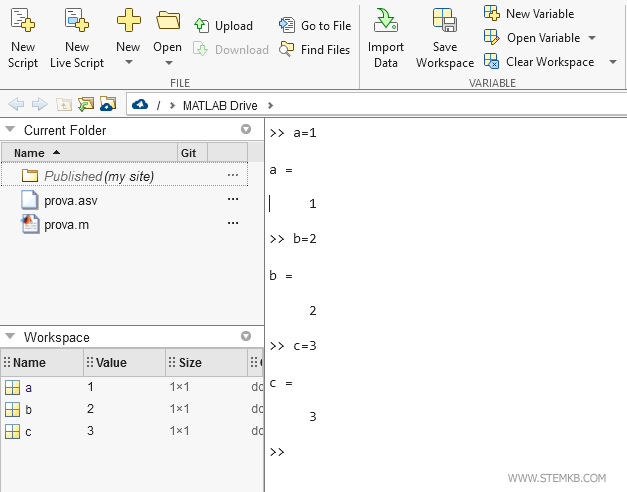 interactive environment of Matlab (command line)